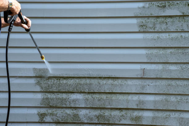 Best Wood Siding Installation  in Essexville, MI