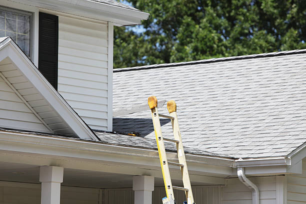 Affordable siding repair and maintenance services in Essexville, MI